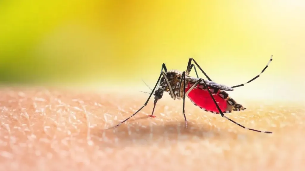 Malaria Disease Control and Prevention